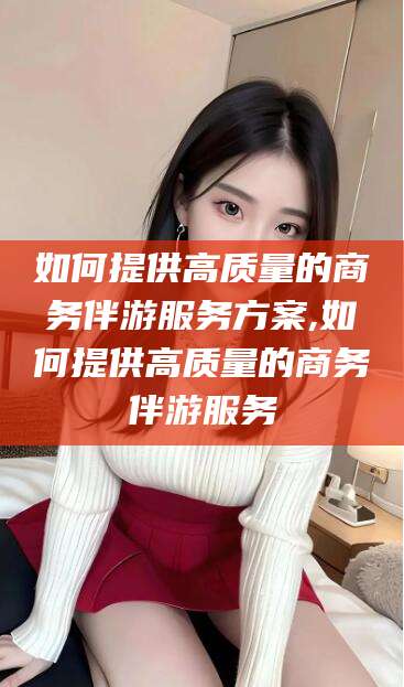 南城如何提供高质量的商务伴游服务方案,如何提供高质量的商务伴游服务